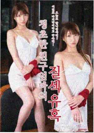 夜航灯塔剧集封面